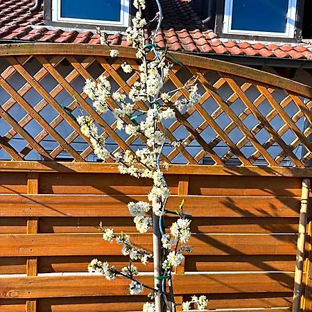 Sonne Hotel