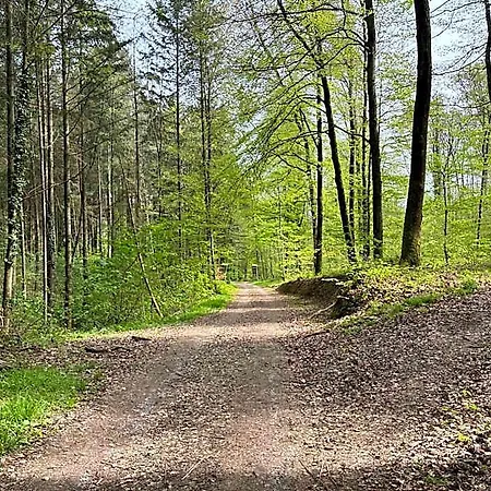 Sonne Szálloda *